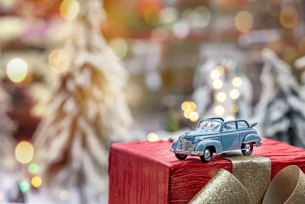 Iwild Casino Application Android/iOS